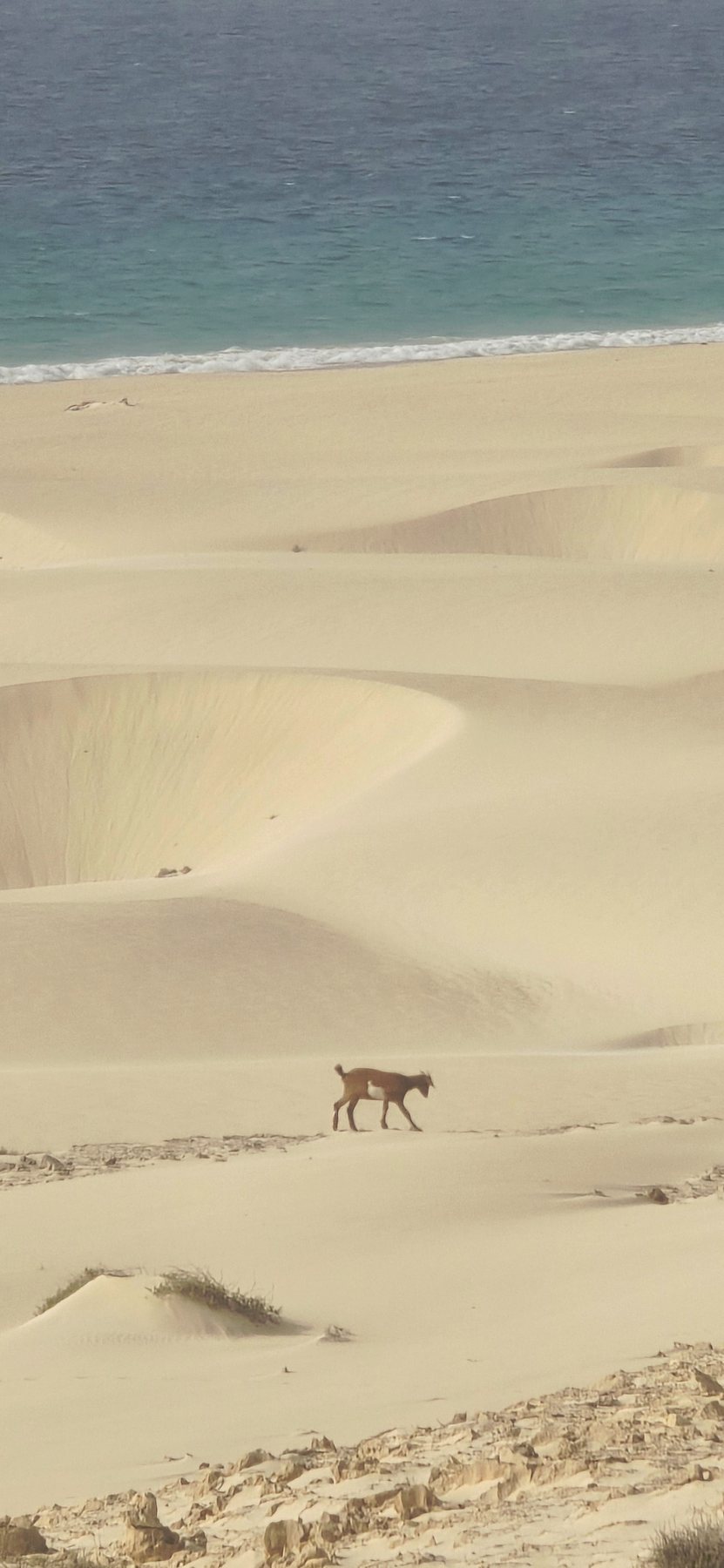 Paisagem de dunas na ilha da Boa Vista, Cabo Verde, fotografia dos anfitriões